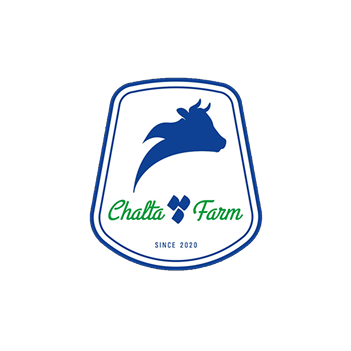 Frame 1000006378 (2)